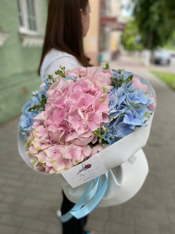 Букет из гортензий, оксипеталума